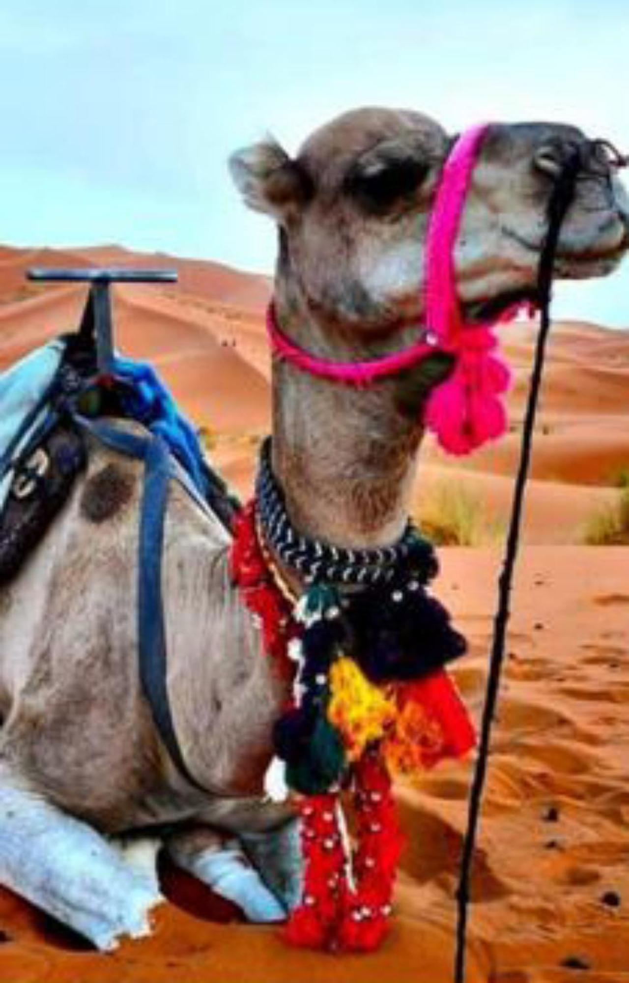 Luxury Desert Camp Merzouga Exteriér fotografie